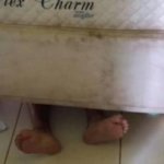 Homem se esconde debaixo de cama com medo de ser preso após agredir esposa, em Pirenópolis
