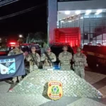 Goiás: Operação com PM, PF e PRF apreende R$ 50 milhões em cocaína