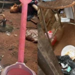 Rio Verde: crianças são resgatadas de casa tomada por lixo e comida podre